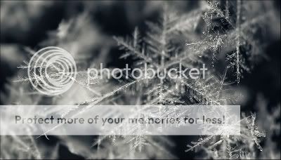 http://i286.photobucket.com/albums/ll94/skrepka/frozen%20trees%20-%20snow/snowflakes_macro_04.jpg