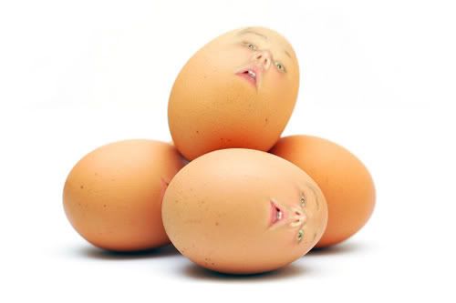 https://i286.photobucket.com/albums/ll98/mr-dogshit/2008_03_26-EggFreshness.jpg